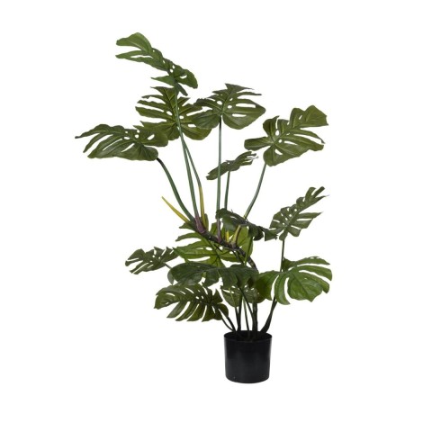 PIANTA MONSTERA IN VASO CM113